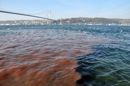 2009 Kurban Bayramı manzaraları