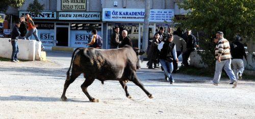 Yurttan kurban manzaraları - Resim 15