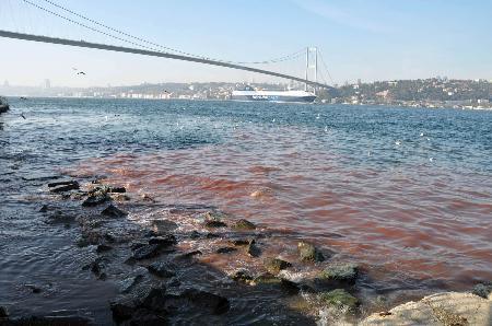 2009 Kurban Bayramı manzaraları