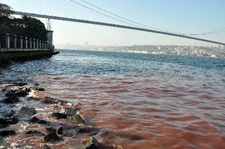 2009 Kurban Bayramı manzaraları