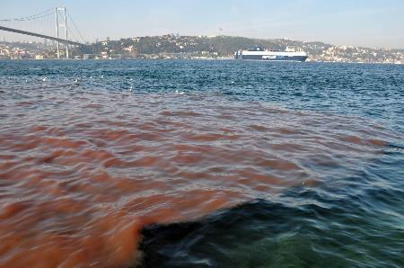 2009 Kurban Bayramı manzaraları