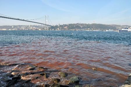 2009 Kurban Bayramı manzaraları