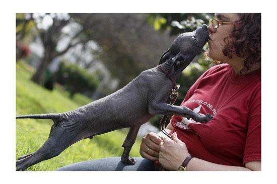 Hayvanların en komik halleri 