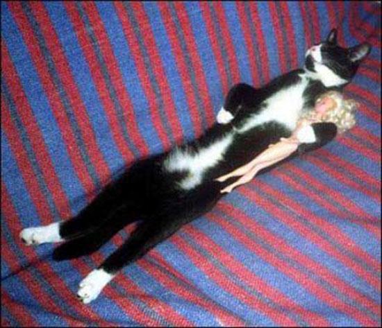 Hayvanların en komik halleri 