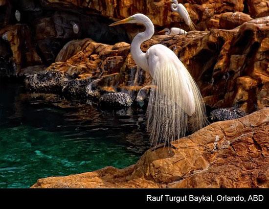 Türkiye'nin en iyi fotoğrafları - Resim 1