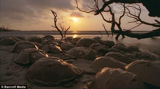 Bu film 75 milyon dolara mal oldu 