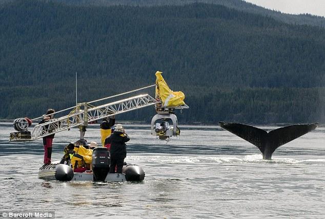 Bu film 75 milyon dolara mal oldu 