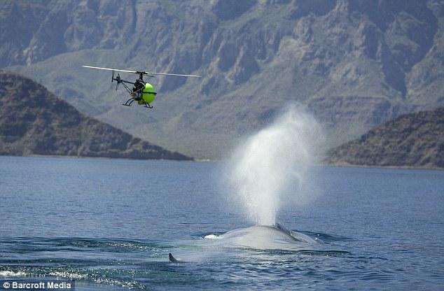 Bu film 75 milyon dolara mal oldu 