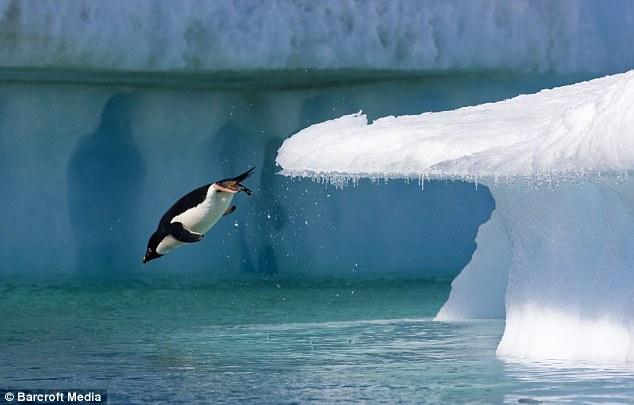 Bu film 75 milyon dolara mal oldu 