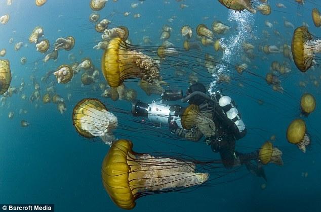 Bu film 75 milyon dolara mal oldu 