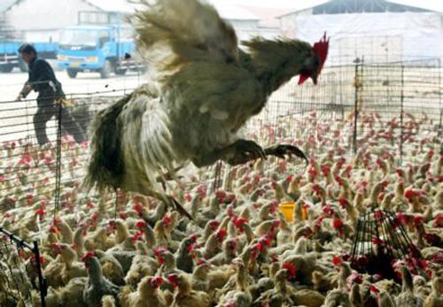 Tüm zamanların en çok merak edilen 25 sorusu - Resim 25