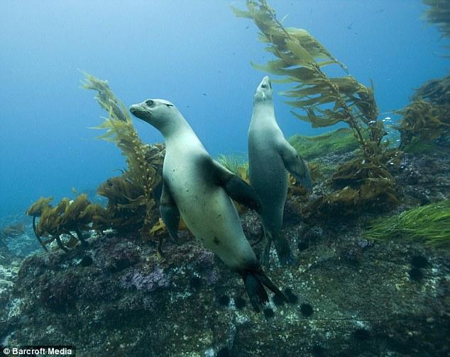 Bu film 75 milyon dolara mal oldu 