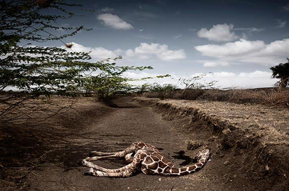 2009'un en etkili fotoğrafları - Resim 37