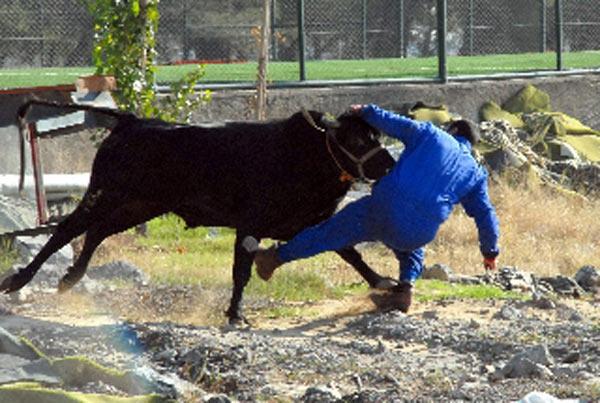 2009'a damgasını vuran fotoğraflar - Resim 2