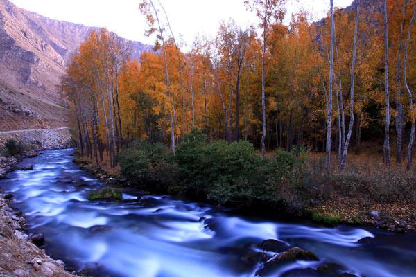 2009'a damgasını vuran fotoğraflar - Resim 73