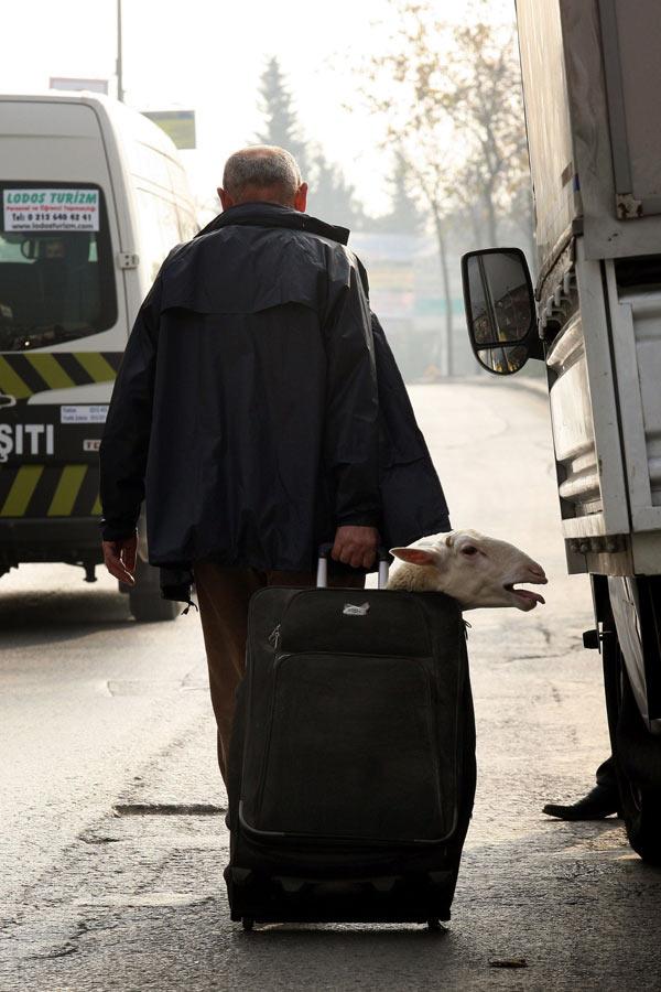 2009'a damgasını vuran fotoğraflar - Resim 65