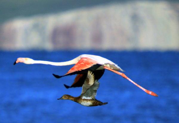 2009'a damgasını vuran fotoğraflar - Resim 9