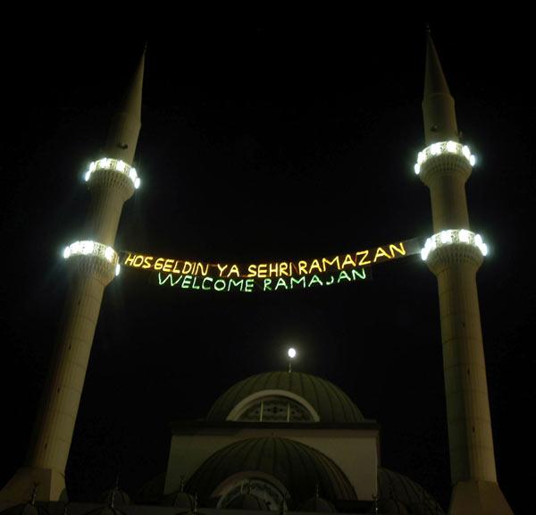 2009'a damgasını vuran fotoğraflar - Resim 63