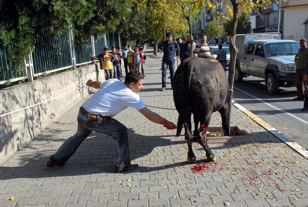 2009'a damgasını vuran fotoğraflar - Resim 31