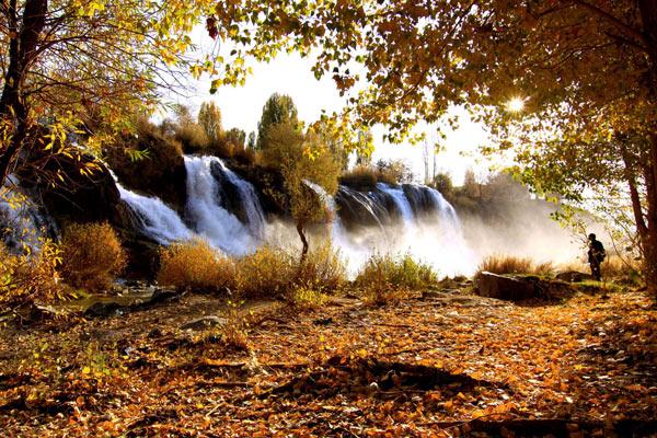 2009'a damgasını vuran fotoğraflar - Resim 49
