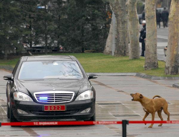 2009'a damgasını vuran fotoğraflar - Resim 55