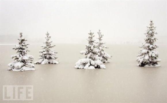 2009'da objektife takılanlar  - Resim 83