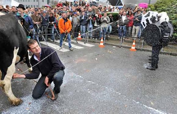 2009'da objektife takılanlar  - Resim 109
