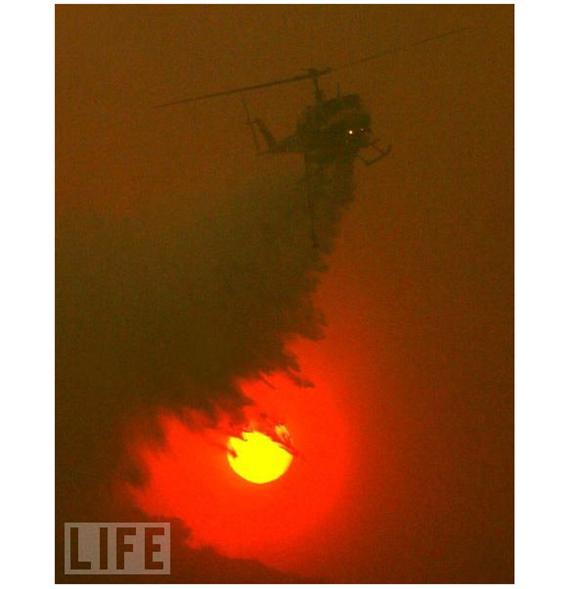 2009'da objektife takılanlar  - Resim 20