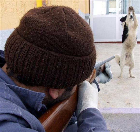 2009'da objektife takılanlar  - Resim 141