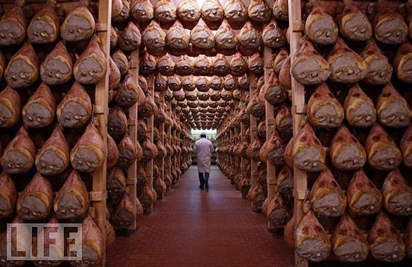 2009'da objektife takılanlar  - Resim 246