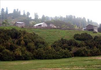 Hangi ilin nesi meşhur - Resim 4