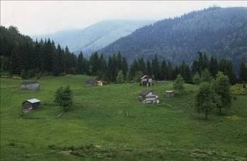 Hangi ilin nesi meşhur - Resim 46