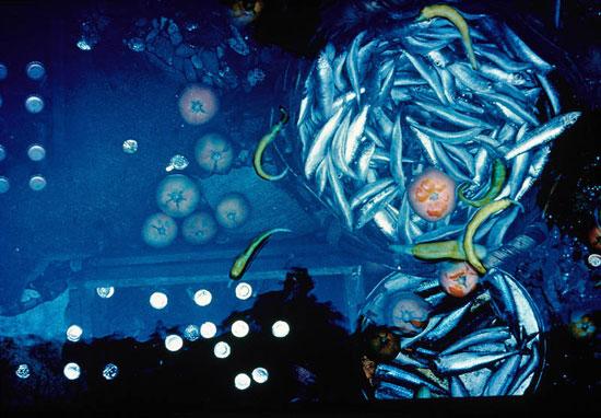 Şakir Eczacıbaşı'nın objektifinden kareler