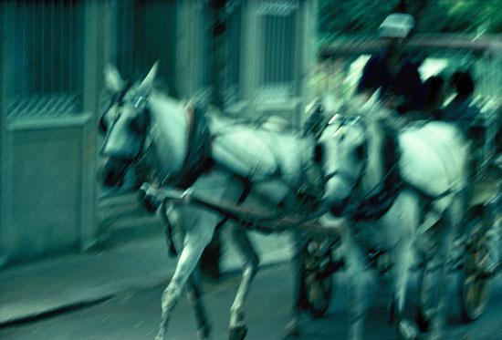 Şakir Eczacıbaşı'nın objektifinden kareler