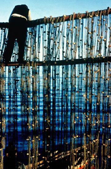 Şakir Eczacıbaşı'nın objektifinden kareler