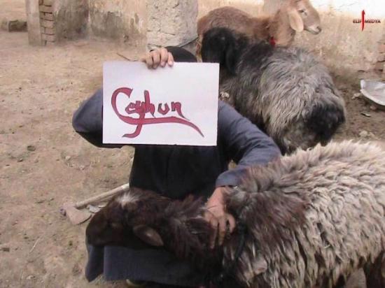 Kurban paraları onlara gidiyor - Resim 5