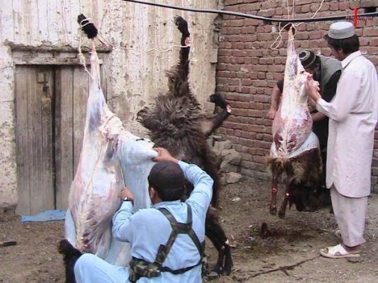 Kurban paraları onlara gidiyor - Resim 6