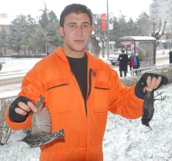 Kuşlar ağaçta donup kaldı - Resim 5