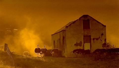 Bu fotoğraflar sanat eseri - Resim 44