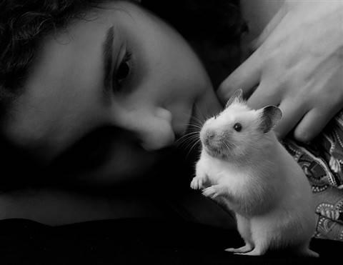 Bu fotoğraflar sanat eseri - Resim 63