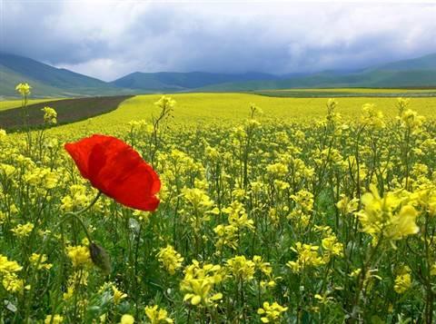 Bu fotoğraflar sanat eseri - Resim 83