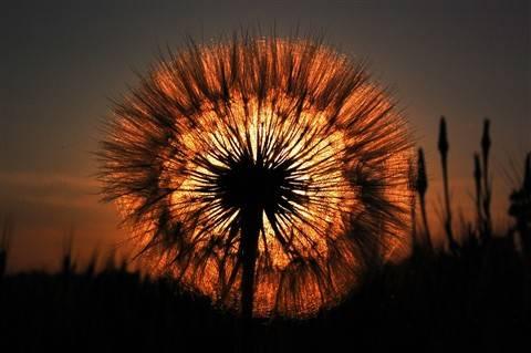 Bu fotoğraflar sanat eseri - Resim 88