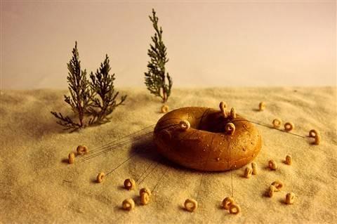 Bu fotoğraflar sanat eseri - Resim 18