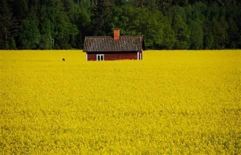 Bu fotoğraflar sanat eseri - Resim 13