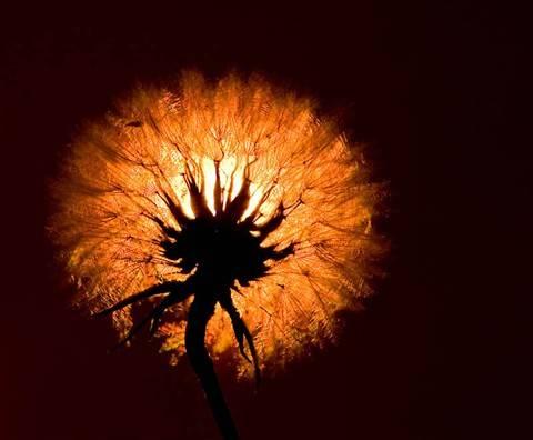 Bu fotoğraflar sanat eseri - Resim 32