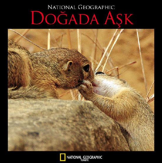 Aşkın en doğal hali - Resim 20