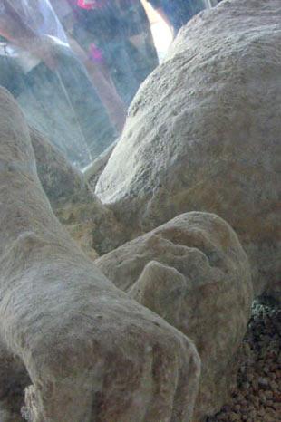 Tarihin ibret sayfası:Pompei - Resim 5