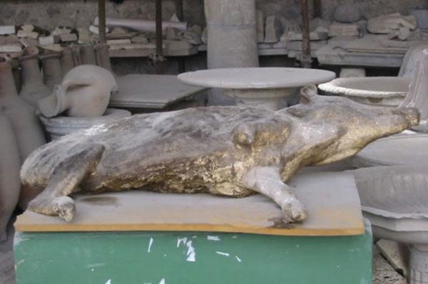 Tarihin ibret sayfası:Pompei - Resim 35