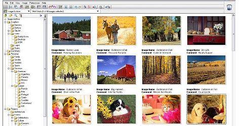 En iyi 90 bedava yazılım