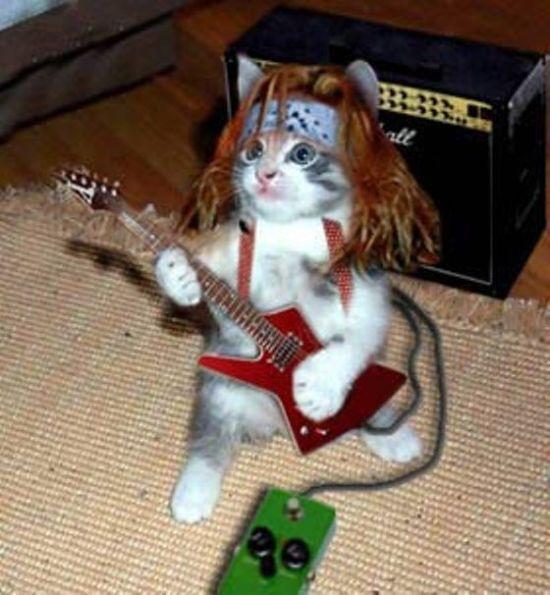 Dünya'nın en ilginç gitarları - Resim 15
